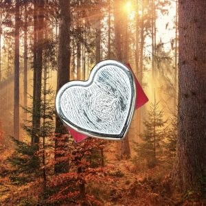 "Wild-Liebe" Lederring mit dem Original "Wild-Liebe Heart"