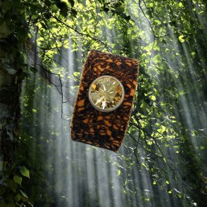 "Wild-Liebe" Lederring "Lace & Crystal"